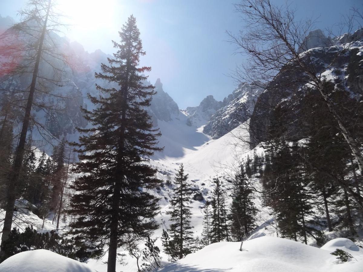 Apartmenthaus Edelweiss In Gosau Kültér fotó