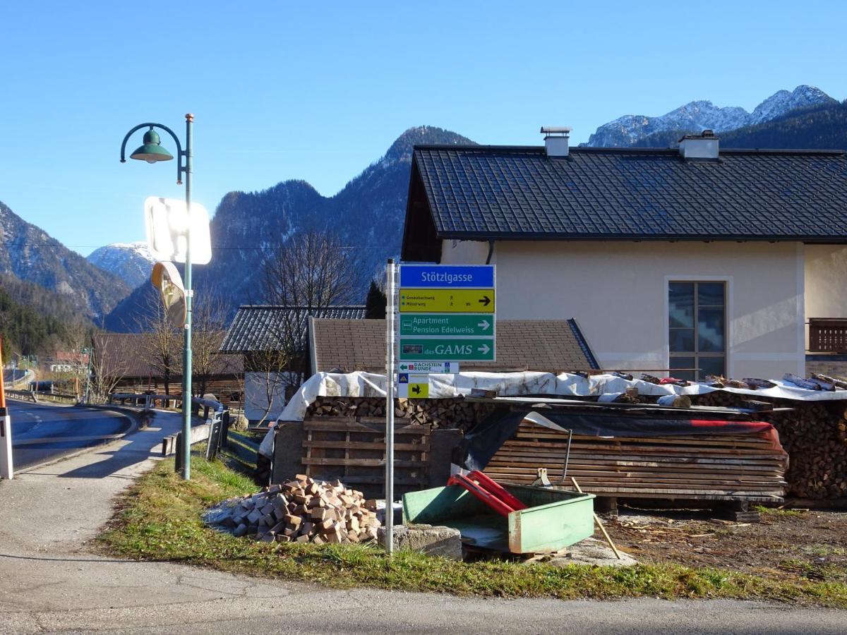 Apartmenthaus Edelweiss In Gosau Kültér fotó