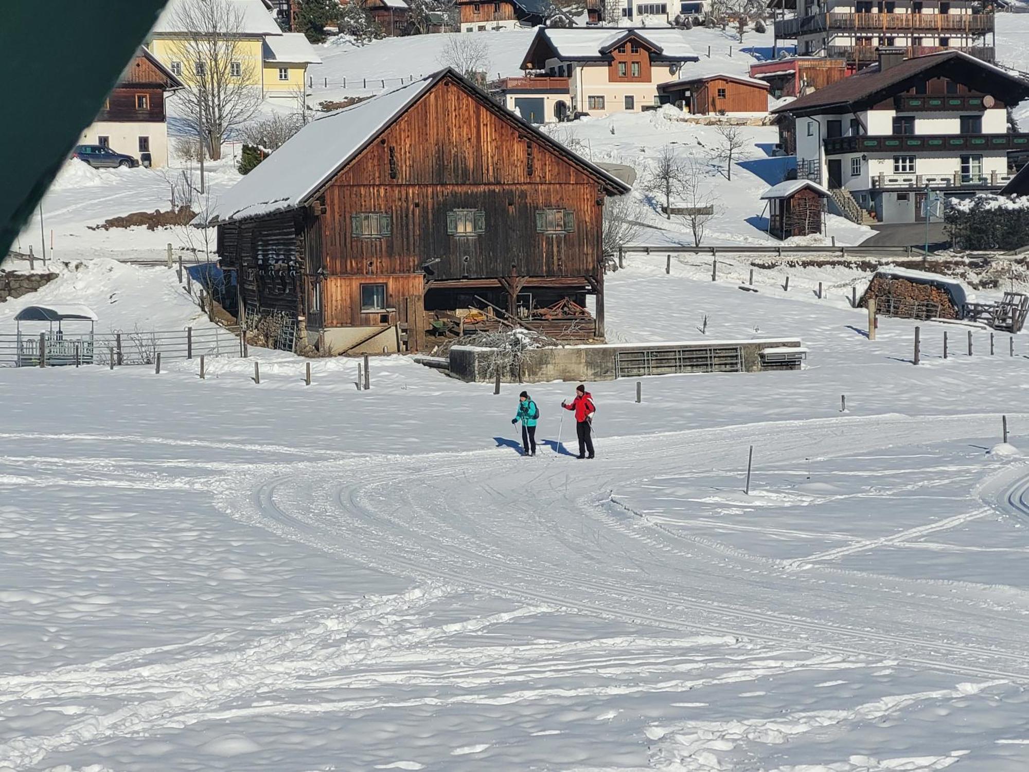 Apartmenthaus Edelweiss In Gosau Kültér fotó