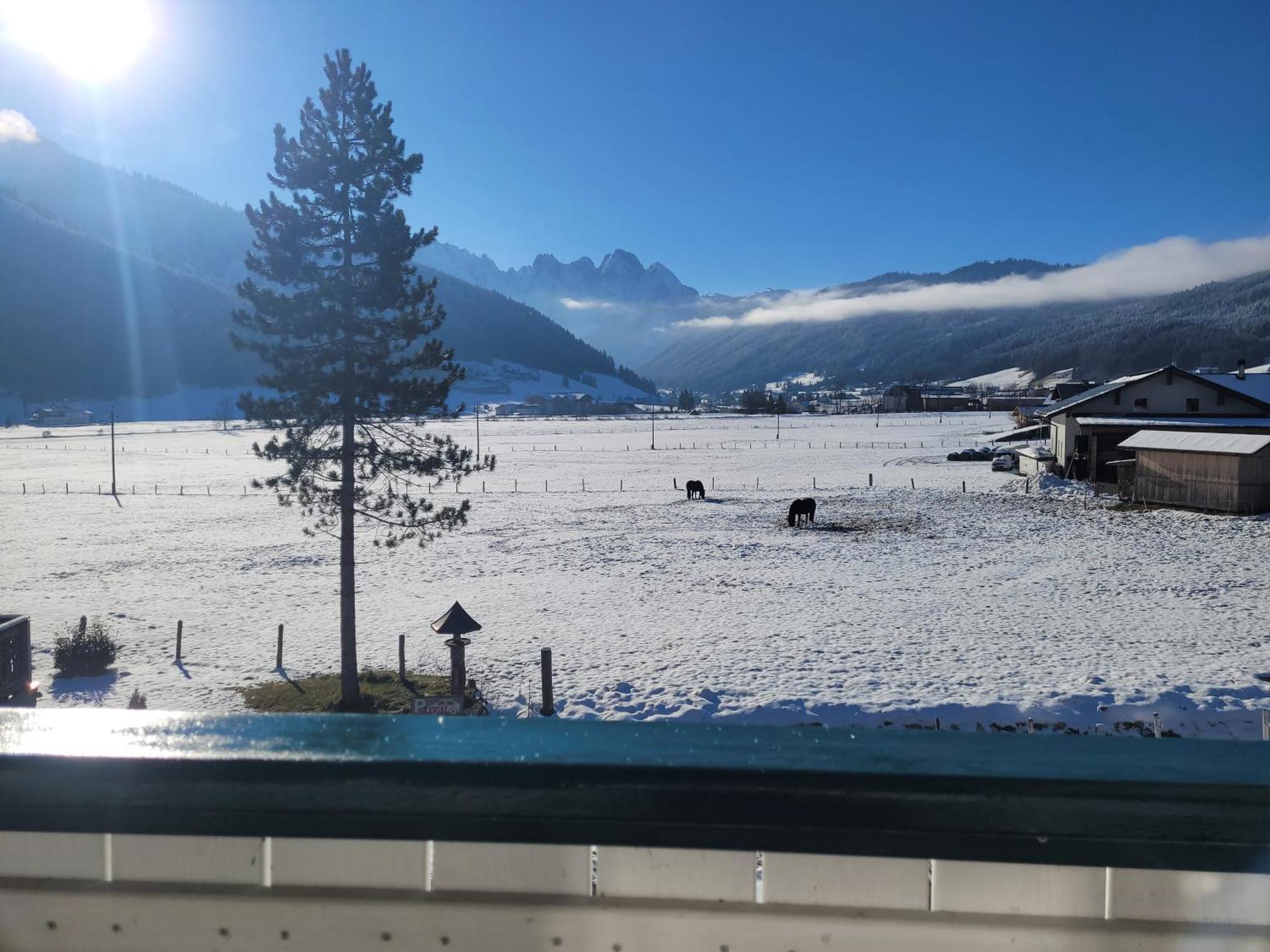 Apartmenthaus Edelweiss In Gosau Kültér fotó