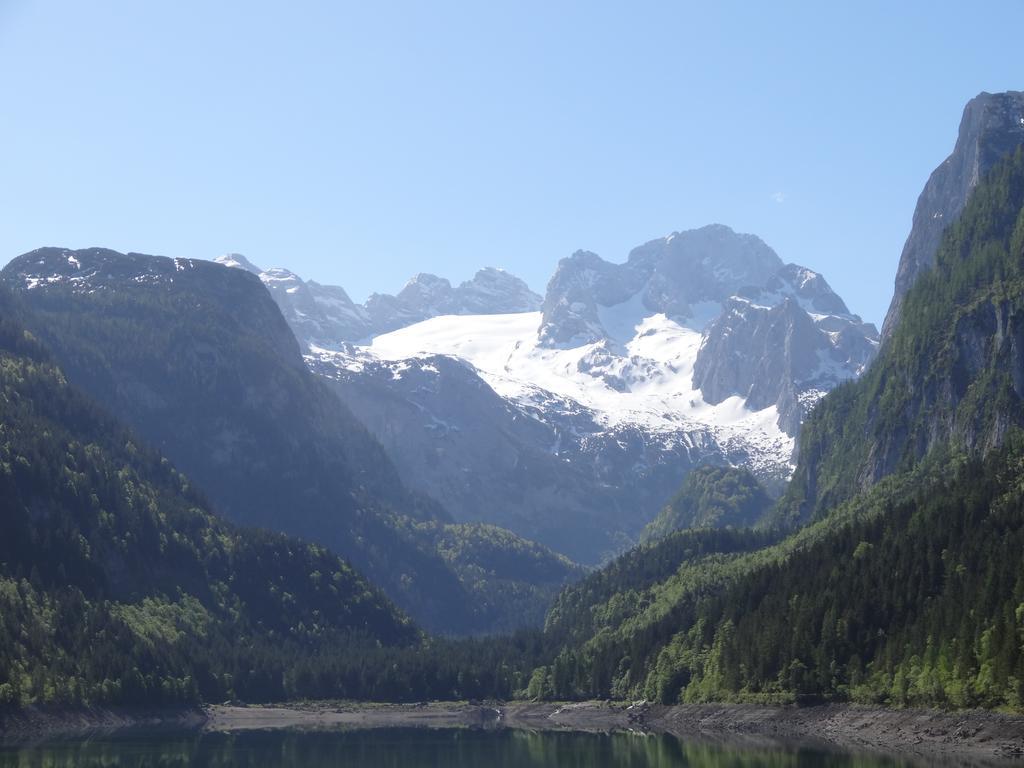Apartmenthaus Edelweiss In Gosau Szoba fotó