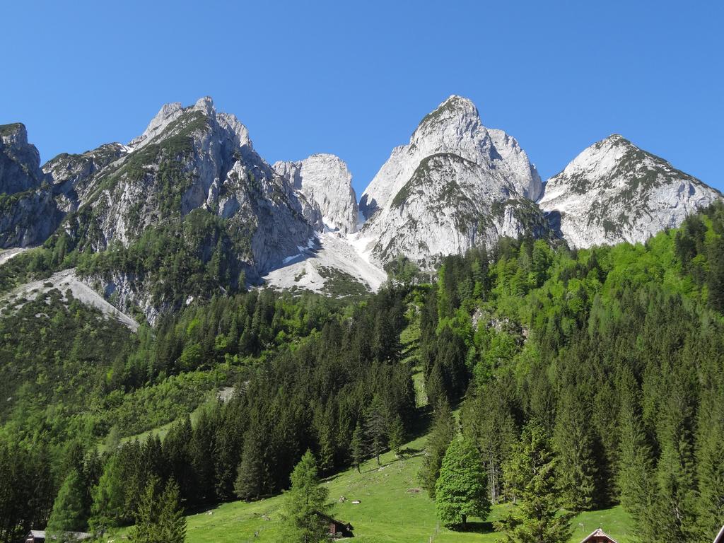 Apartmenthaus Edelweiss In Gosau Szoba fotó